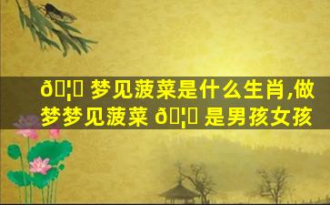 🦅 梦见菠菜是什么生肖,做梦梦见菠菜 🦄 是男孩女孩